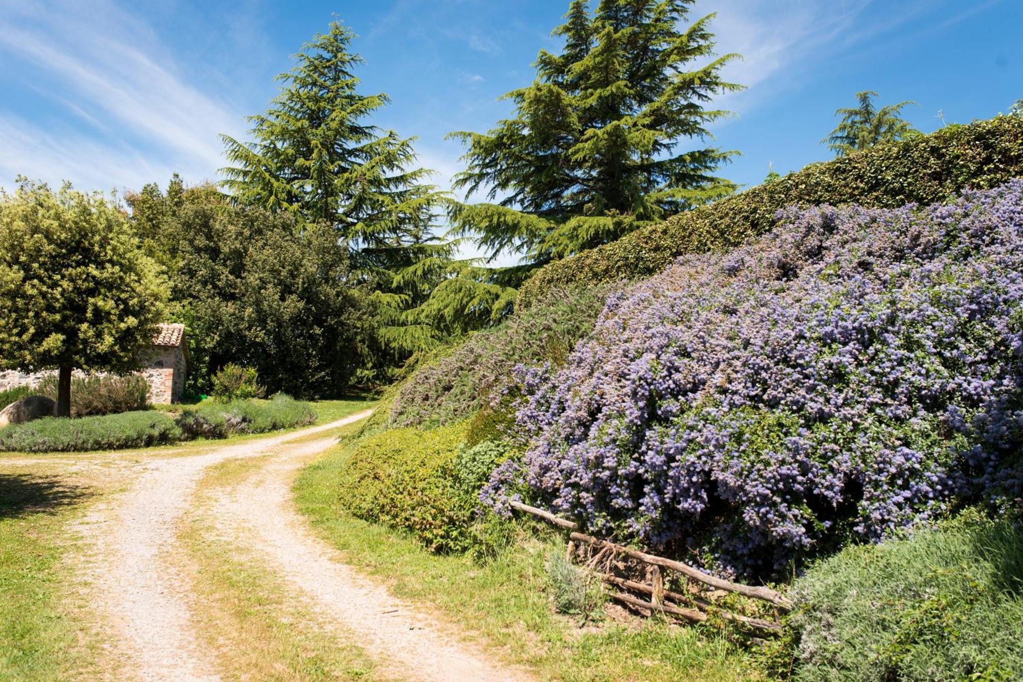 Agri Relais Il Poderaccio Di Bolsena Kültér fotó