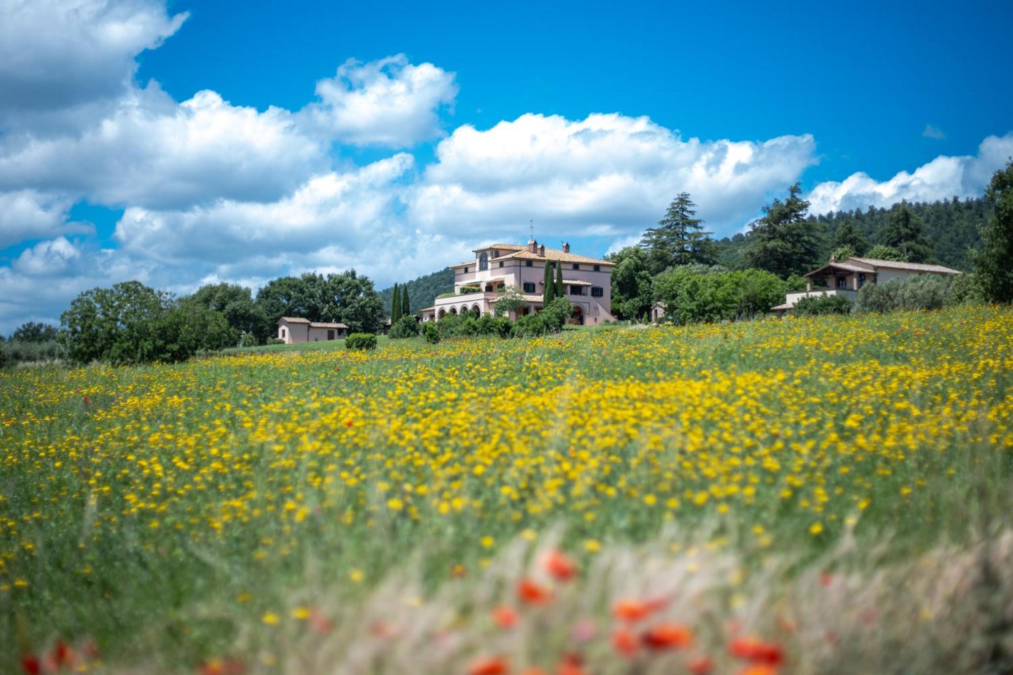 Agri Relais Il Poderaccio Di Bolsena Kültér fotó