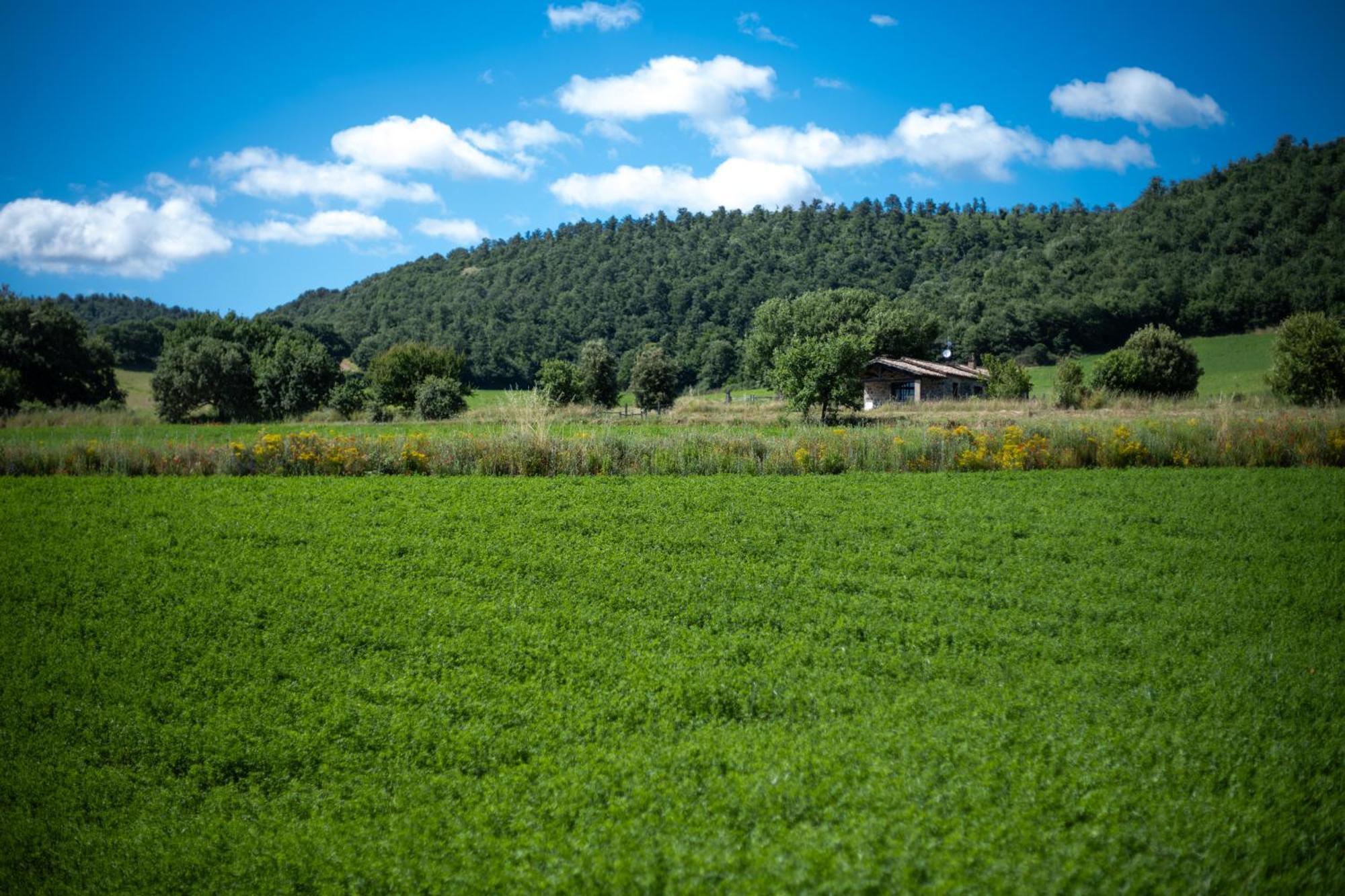 Agri Relais Il Poderaccio Di Bolsena Kültér fotó