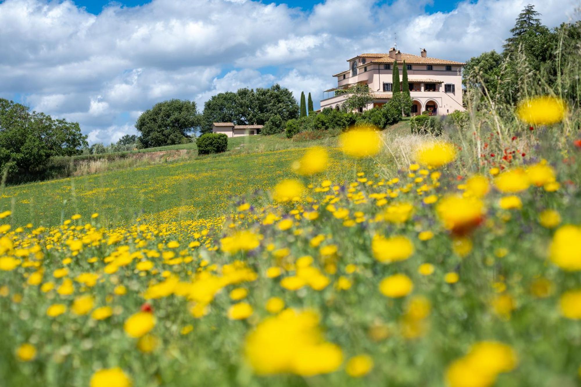 Agri Relais Il Poderaccio Di Bolsena Kültér fotó