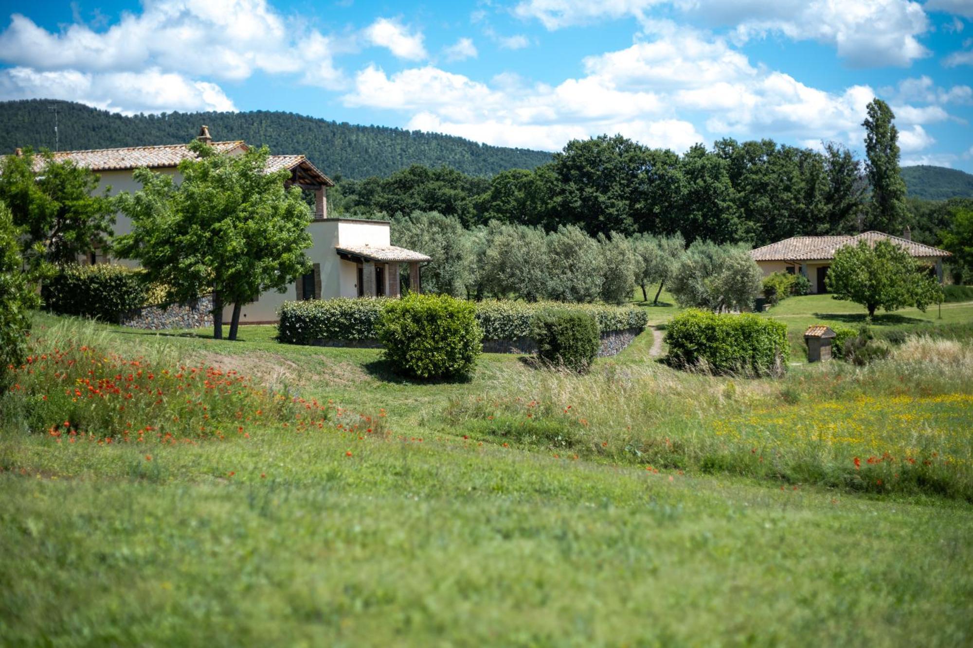 Agri Relais Il Poderaccio Di Bolsena Kültér fotó