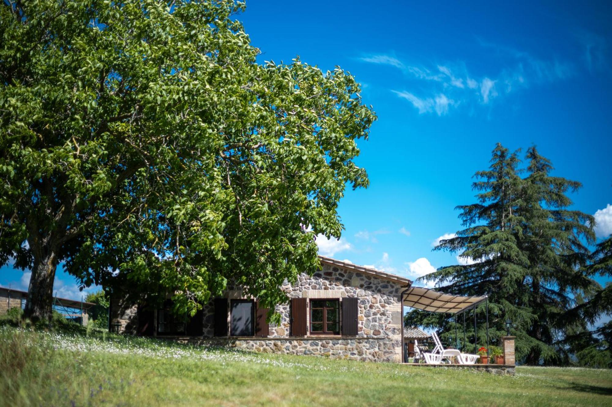 Agri Relais Il Poderaccio Di Bolsena Kültér fotó